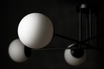 5901425519267_5.jpg